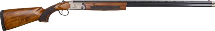 gf541028 scaled | WTW Arms