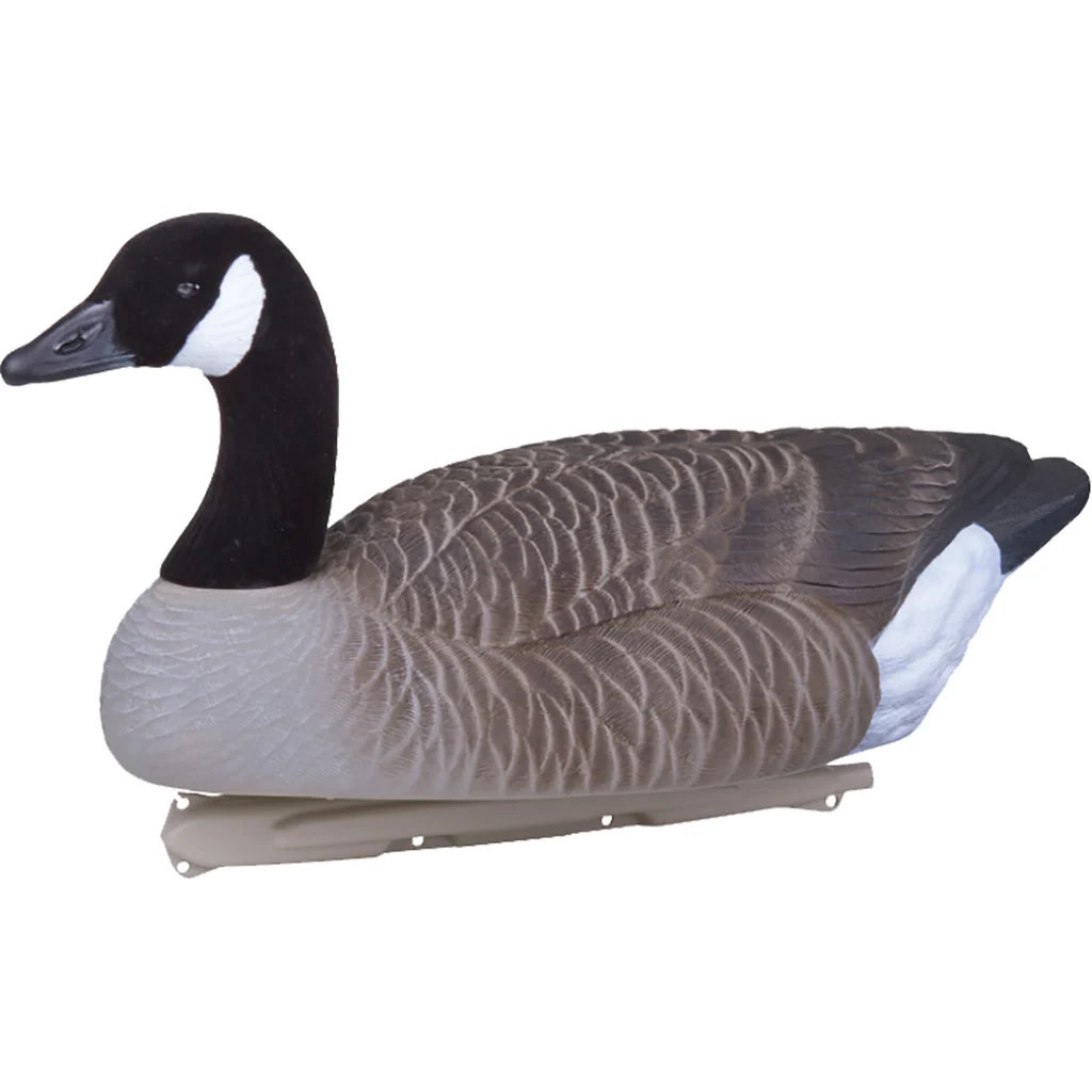 Flambeau Water Pack Canada Goose Decoy 4 pk. - Image 3