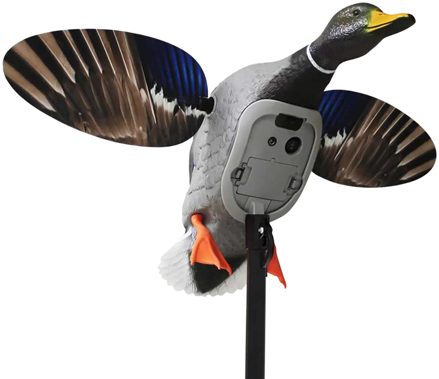 Mojo Outdoors Esca Meccanica A Forma Di Germano Reale Con Ali Rotanti – Richiamo Per La Caccia Agli Uccelli Acquatici, Batteria Ricaricabile Inclusa