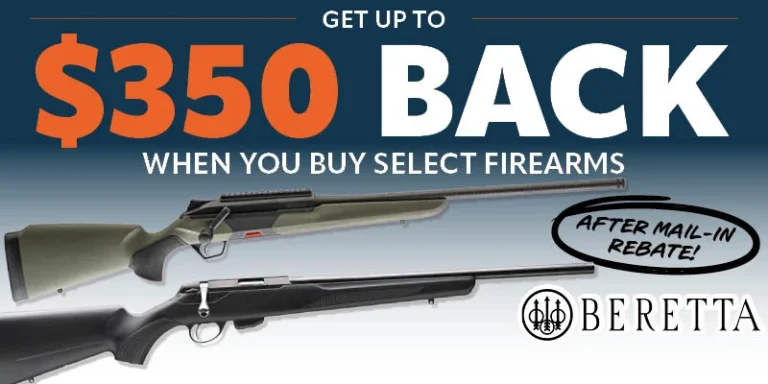 Beretta WTW Arms