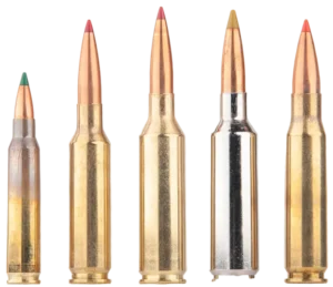 WTW Arms Connecticut Rifle Ammo