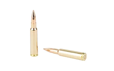 S&B 7.5X55 SWISS 174GR FMJ 20/400 - Image 4